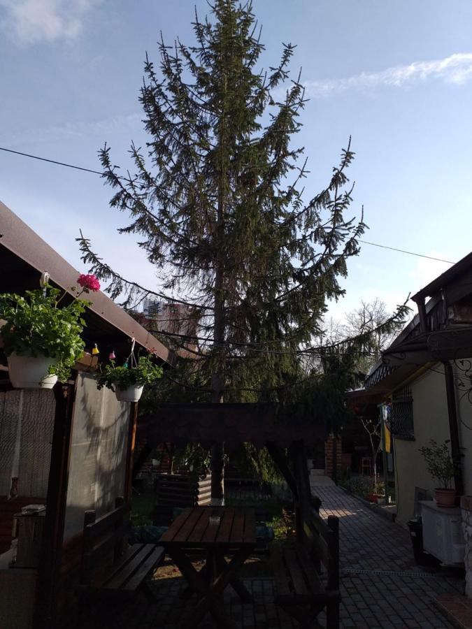 Apartamento Casa la Mola Mangalia Exterior foto