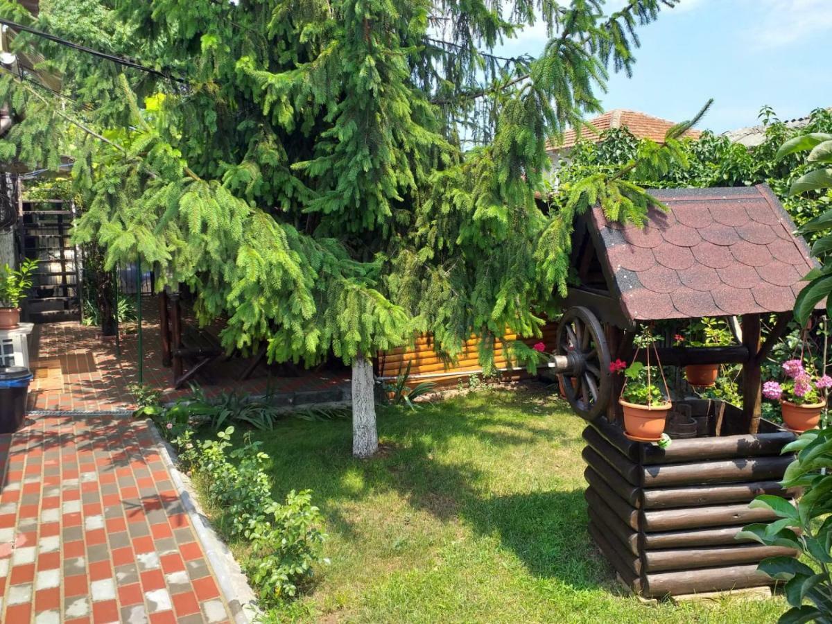 Apartamento Casa la Mola Mangalia Exterior foto